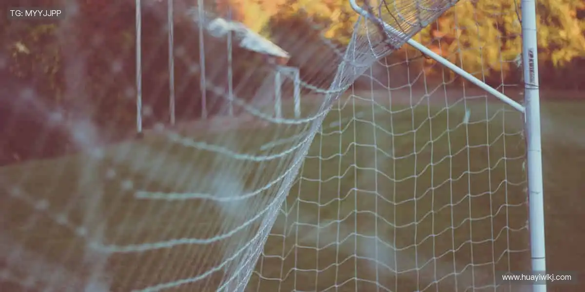 🏀【空中对决】热血扣篮，点燃你的篮球魂！